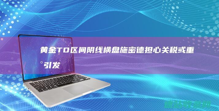 黄金TD区间阴线横盘施密德担心关税或重新引发通胀-黄金T+D