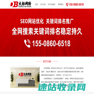 大标网络丨专业SEO优化公司