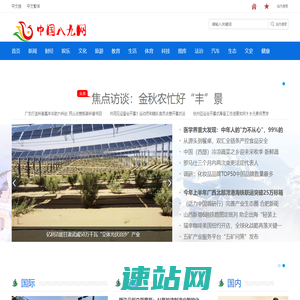 八九网