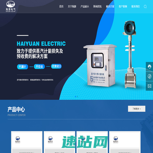 浙江海源电气科技有限公司-蒸汽流量计-涡街流量计