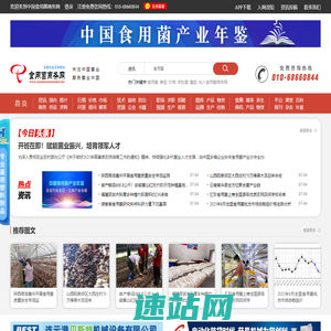 283体育网