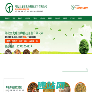蜈蚣养殖,蜈蚣养殖加工,蜈蚣养殖培训,蜈蚣养殖加盟-湖北金龙康生物科技开发有限公司
