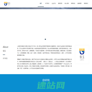 上海领玉信息技术技术有限公司 | 上海IT服务商