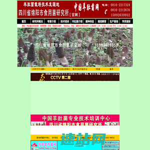 羊肚菌，羊肚菌技术培训，羊肚菌技术培训班，羊肚菌技术培训中心，羊肚菌种植，羊肚菌菌种，食用菌，四川省绵阳市食用菌研究所