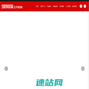 江苏三元轮胎有限公司 | SEYOUN