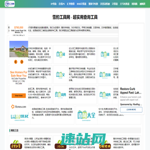 雪豹工具 - 实用查询工具