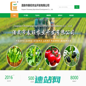酒泉市春旺农业开发有限责任公司