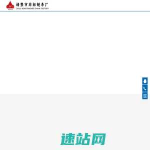 输送链条-特种链条-卷门机链条-诸暨市非标链条厂