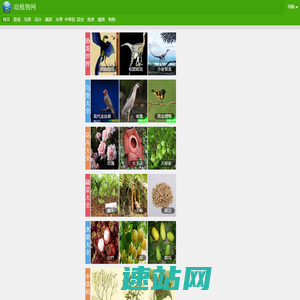 深圳货运公司_优质物流供应商-速安物流