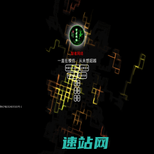 智者网络