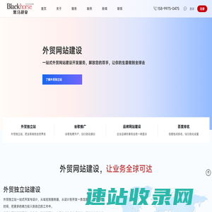 外贸网站建设
