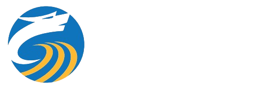 电商云仓-电商物流仓储-上海云仓代发货-上海龙琪沪复供应链管理有限公司