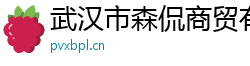 武汉市森侃商贸有限公司