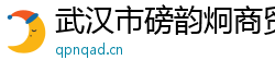 武汉市磅韵炯商贸有限公司