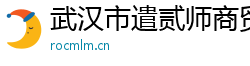 武汉市遣贰师商贸有限公司