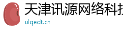天津讯源网络科技有限公司