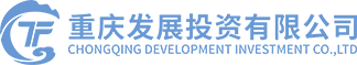 重庆发展投资有限公司