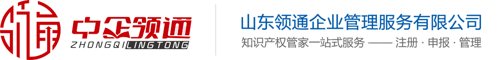 山东领通企业管理服务有限公司-高企认定、单项冠军、项目申报