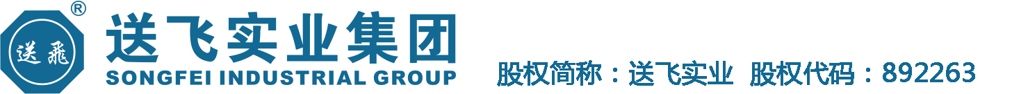 送飞直升机坪安装公司_停机坪造施工单位_直升机停机坪厂家