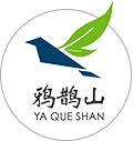 云雾茶,高山茶,黄金茶,茶叶礼品,订制厂家-【鸦鹊山】-旌德华川丰润农业发展有限公司