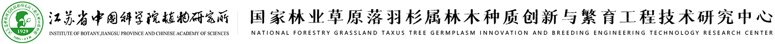 中山杉研究网