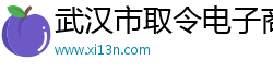 武汉市取令电子商务有限公司